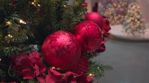 A look into our beautiful Messiah 2025 Performance!🩰✨ This performance combined the gracefulness of our ballet students and the artistry of the St Augustine Community Choir! It was truly a special night and we are so blessed to have such a great dance community!! The best part of the show was that ALL proceeds went to local charities!! Getting to share our talents and impact local philanthropies is what it’s all about! Thank you for all the support!!🤍 | Grace Conservatory