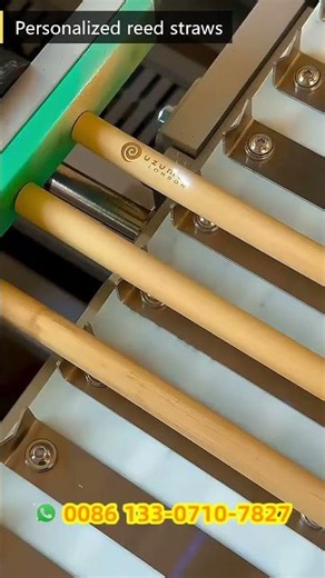 UV Laser Marking Machine with Conveyor Belt for Personalized Reed Straw Printing Branding