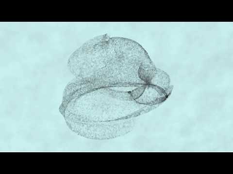 Maya: BlendShape, Softbody, MASH