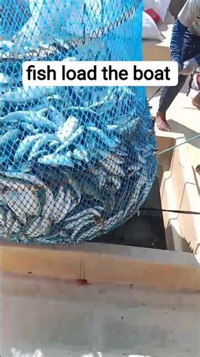 Deep Sea Fishing: The Most Unbelievable Moments