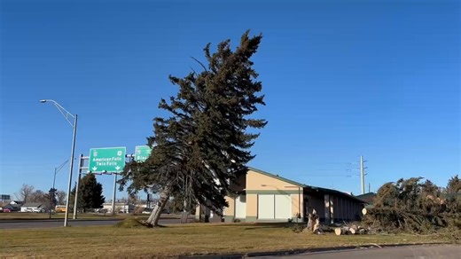 The winds of change, this tree was a casualty of the incoming storm in Pocatello, Idaho. Crews were taking down one tree when the winds took this one down! I've seen a few reports of downed trees in Utah communities along I-80 in Tooele County. Did any of you see damage throughout the day? | Heidi Hatch