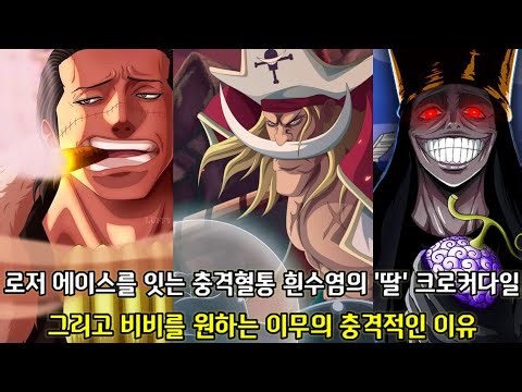 [원피스 분석] 로저 에이스를 잇는 충격혈통 흰수염의 딸 크로커다일 그리고 비비를 원하는 이무의 충격적인 이유