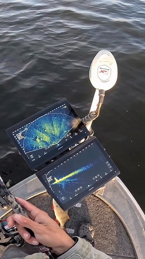 Clip from the most recent YouTube video! Redfin where coming in fast! @samakifishing #redfin #fishing | Colby Lesko Fishing