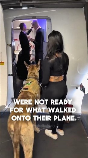 They Weren’t Ready for Its Size… Until…😳