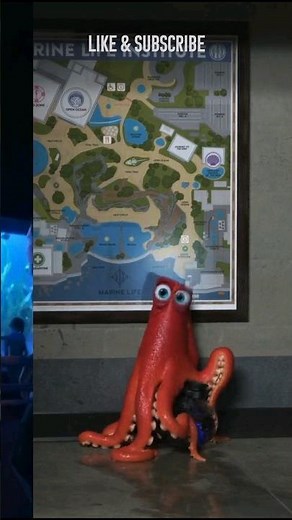 Octopus Hank 🐙 🧐 |