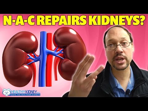 N-A-C and Kidney Disease | N-A-C Supplement Help Kidney Disease? Can NAC Glutathione Repair Kidneys?