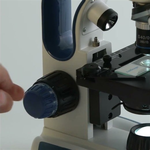 AmScope B110 40X-2500X Compound Microscope