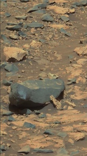NASA Perseverance Performs an In-Place Turn