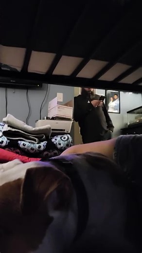 Danielle Zavala (@daniellezavala6)’s videos with original sound - Danielle Zavala