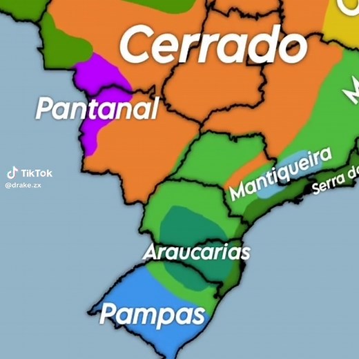 Araucárias Brazil map region nature - Mantiqueira & Pampas biomes