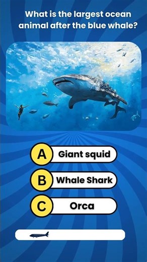 General Knowledge Quiz | What is the largest ocean animal #shorts #generalknowledge #quiz