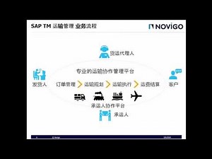 L1 SAP TM 运输管理系统 概览 Final