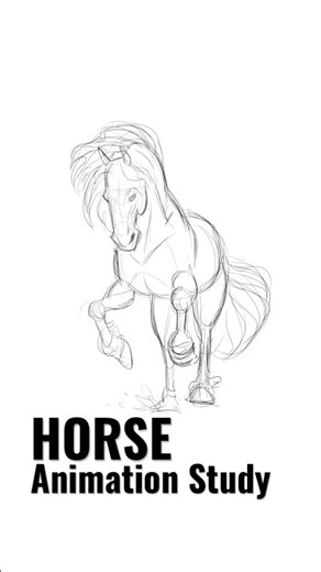 Horse Animation Study #horse #animation #art