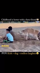 505K views · 6.2K reactions | Happiness is chasing the dog in the backyard.A playground is complete when a dog joins in #dogs #kids #unconditional #bonding #unconditionallove #goldenretriever #dog #playtime #playing #purelove #bestfriend #FurryFriends #funnyreels #comedyreels #reelsviralシfb #videoviralシ #reelsfbシ | Labrador Vlogs | Facebook