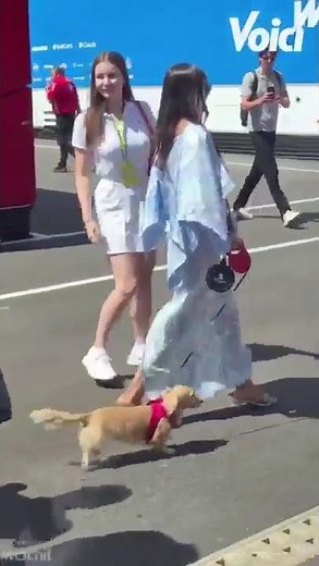 Alexandra Saint Mleux et Charles Leclerc bientôt parents ?