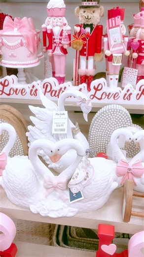 This is my aesthetic all year round! #valentines #valentinesdaygift #lovecore #shopwithme #marshallsfinds #tjmaxxfinds #coquetteaesthetic #girlythings #girlyaesthetic #winteraesthetic #princesscore #retailtherapy | Vanna Mae