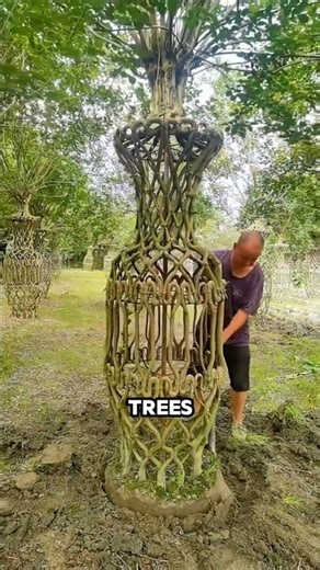These Trees Are Sculpted While They’re Still Alive