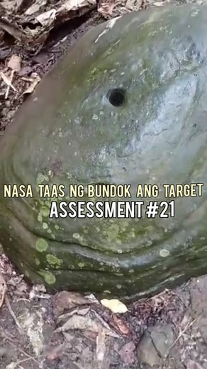 assessment #21 marka ng replika nasa taas ng Bundok ang target | Code Reader mws