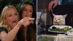 What is The Cat Meme, and Why Is That Woman Yelling?