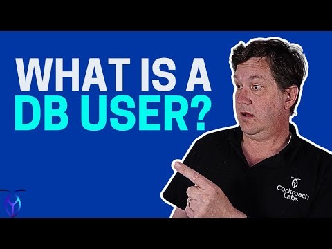 What is a database user? | What is a Database (Pt. 20)