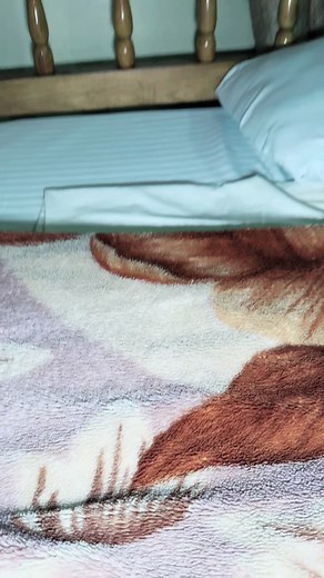 Affordable Budget Accommodation in Rubaga