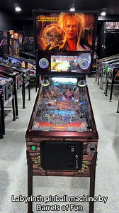 Labyrinth pinball machine by Barrels of Fun — low plays, ships worldwide