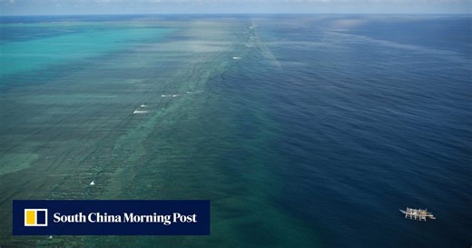 South China Sea: Philippines urged to forge global cooperation over marine life damage
