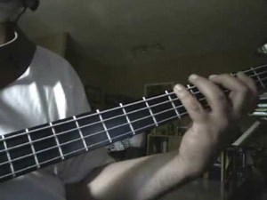 Because The Night - Bass Cover