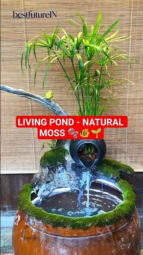 Turn a Pot Into a Beautiful Mini Pond Ecosystem (Easy DIY) 🔴 #lifehacks #aquascape #usashorts