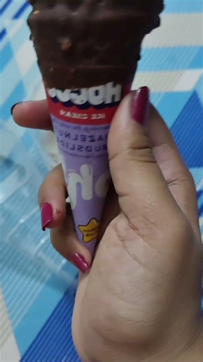 Hocco Icecream Hazelnut Mudslide