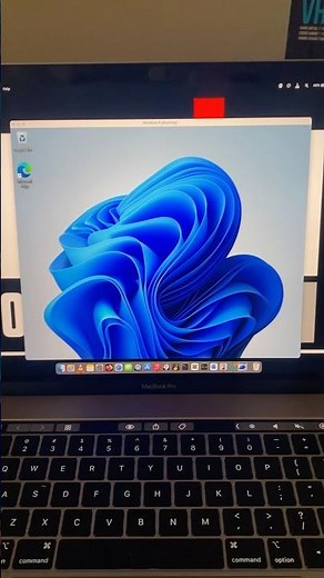 VirtualBox 7.1.4 on MacOs runs Windows 11 smoothly & perfectly