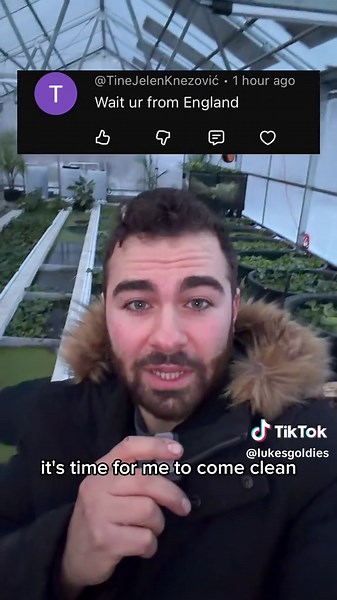 New England has been way better than New Hampshire, love this place. #fish #goldfish #newhampshire #newengland