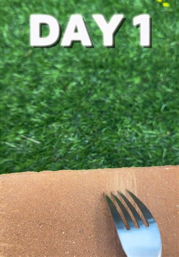 Spoon vs Brick [Day 1] Challange digging into the brick #fyp #fypシ゚ #digging #viral