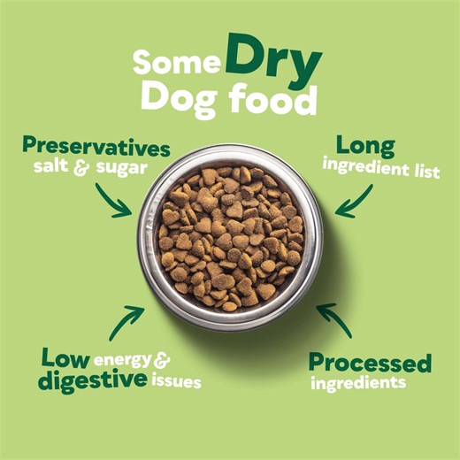 1K views · 11 reactions | What is the difference between dry and raw dog food? Often dried food is produced with shelf life in mind, using processed flours and preservatives, salt and sugar. But here at Natures Menu, we only use high-quality ingredients you can trust. Delicious meat, veggies, superfoods and absolutely no nasties.✅ Go raw in ’24 and see what a difference raw can make to your dog’s diet! | Natures Menu | Facebook
