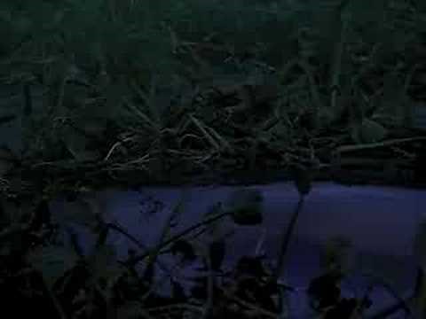 Dracula 2000 Trailer