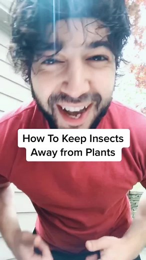 Get Rid of Insects Naturally 🌱🙌 #garden #trick #tips #gardening #organic #learnfromme #alwayslearning #foryou #fyp #magic #recipe #littlethings #wow