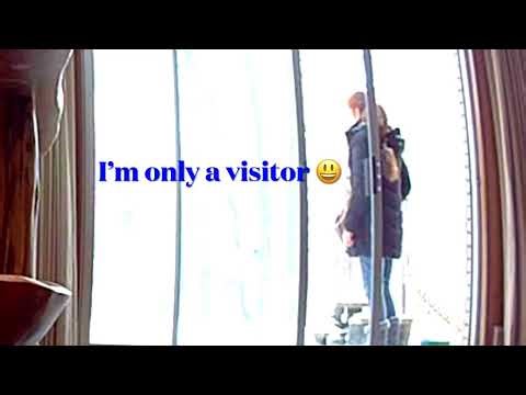 Squirrel purring inside while I’m outside shoveling