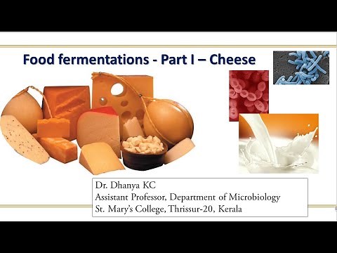 Food fermentations - Part I - Cheese Fermentation