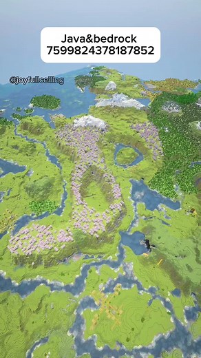 Minecraft seed