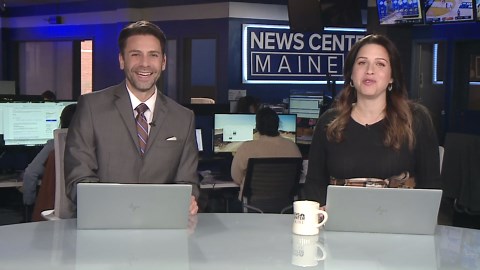 Fast facts about giraffes: Do you know what a group of them is called?