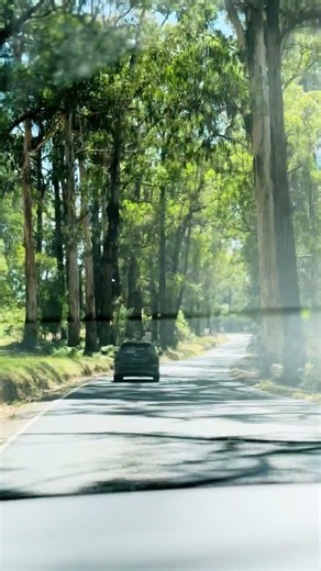 A Peaceful Drive Through Australia’s Beautiful Countryside - Aussie 360 #australia