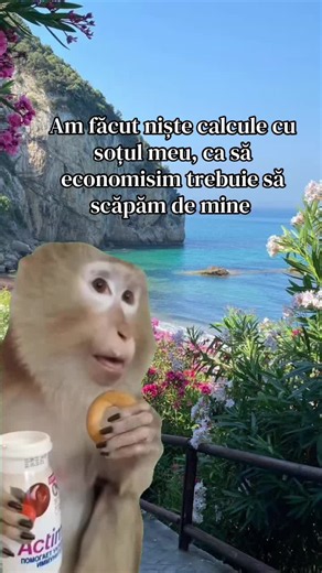 Economii în cuplu: când calculele cer sacrificii