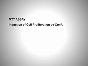 MTT ASSAY Induction of Cell Proliferation by ConA - SlideServe