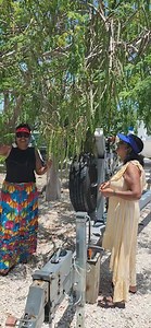 40K views · 710 reactions | Mom is in heaven. She will steam some to take back because it's so plentiful, meaty and free. What's your favorite recipes? | Sandy's Backyard Kitchen/Garden | Facebook