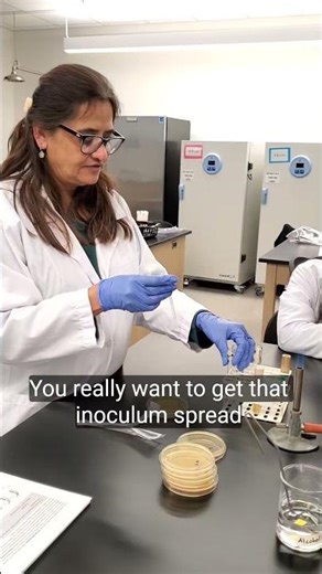 Standard plate dilution technique