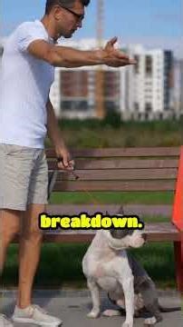 Is Your Pup Really Happy? #DogSmiles #DogsSignals #DogsBodyLanguage