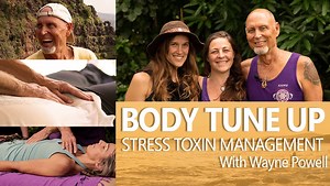 Body Tune Up: Stress Toxin Management