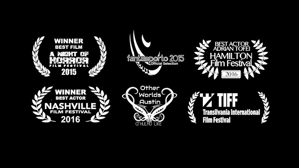 Be My Cat: A Film for Anne (2015)