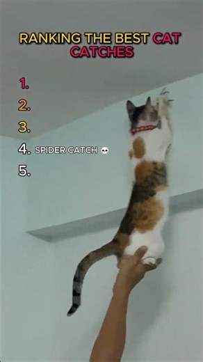 These cats caught things nobody expected... 💀🐱