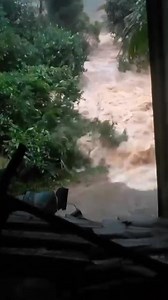 226K views · 3.1K reactions | Dramatic footage emerging from Gampola shows the force of the massive flooding and landslides that struck the town on Friday. “It was like a tsunami,” a resident recalled, describing how homes, vehicles and entire streets were swallowed within minutes | Newswire | Facebook